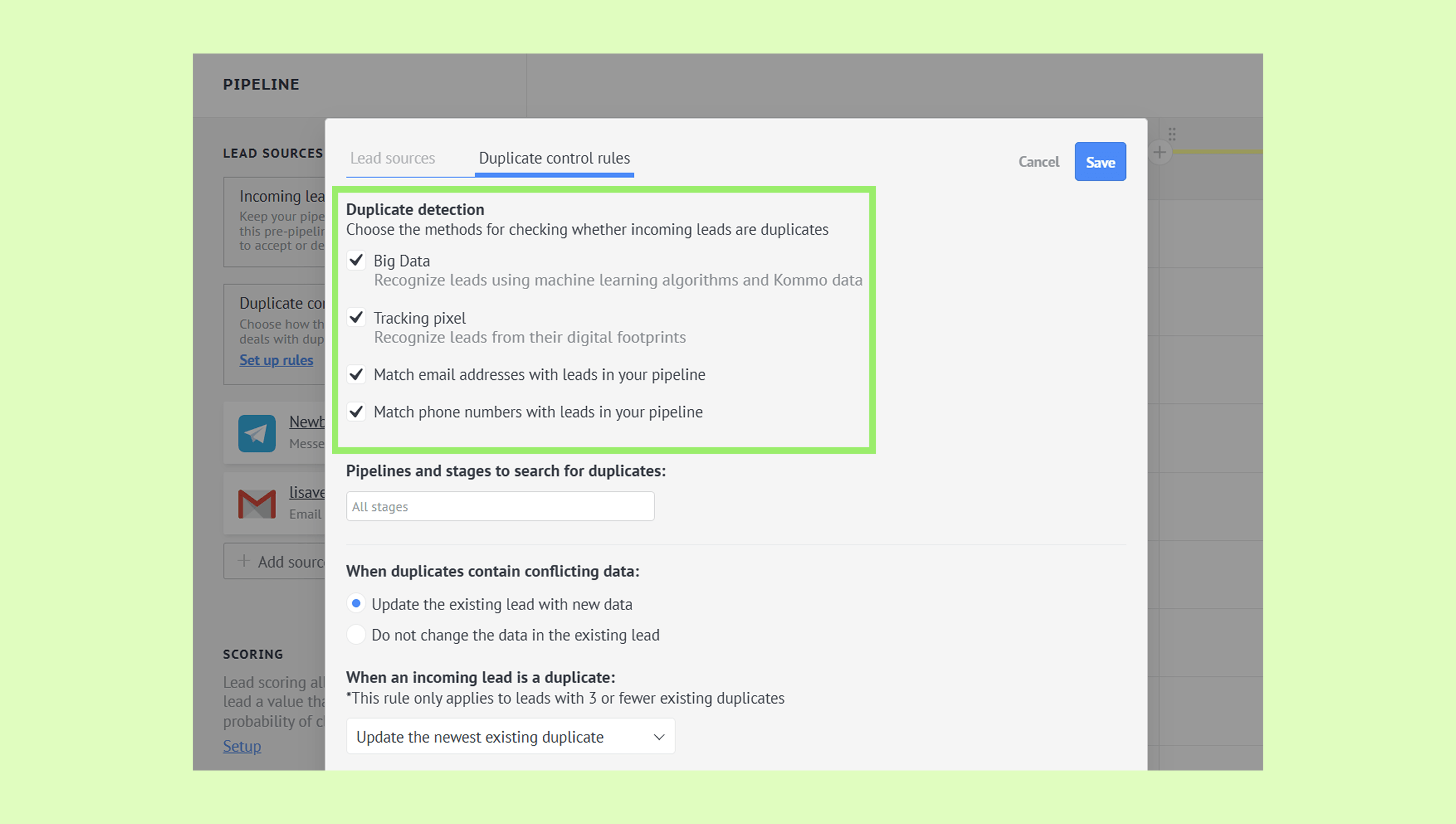 Settings for duplicate detection in lead management with various options checked.